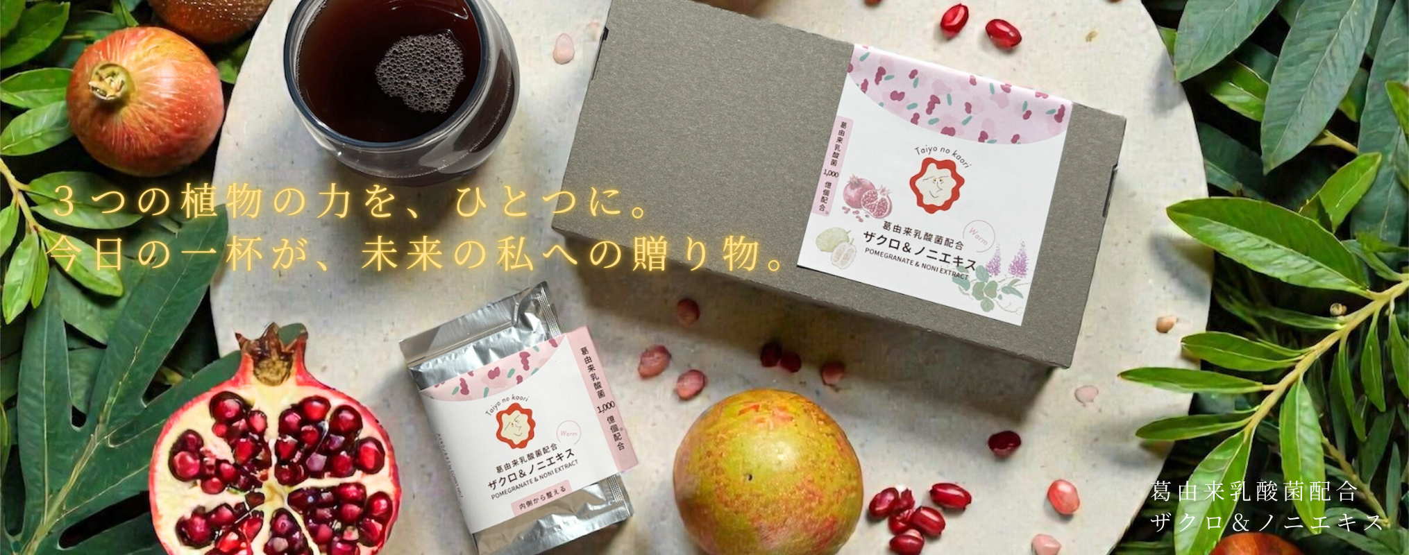 葛ザクロノニエキス